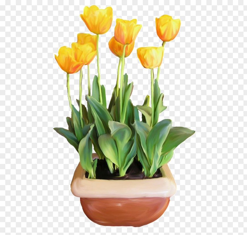 Golden Tulips Flower Tulip Euclidean Vector Clip Art PNG