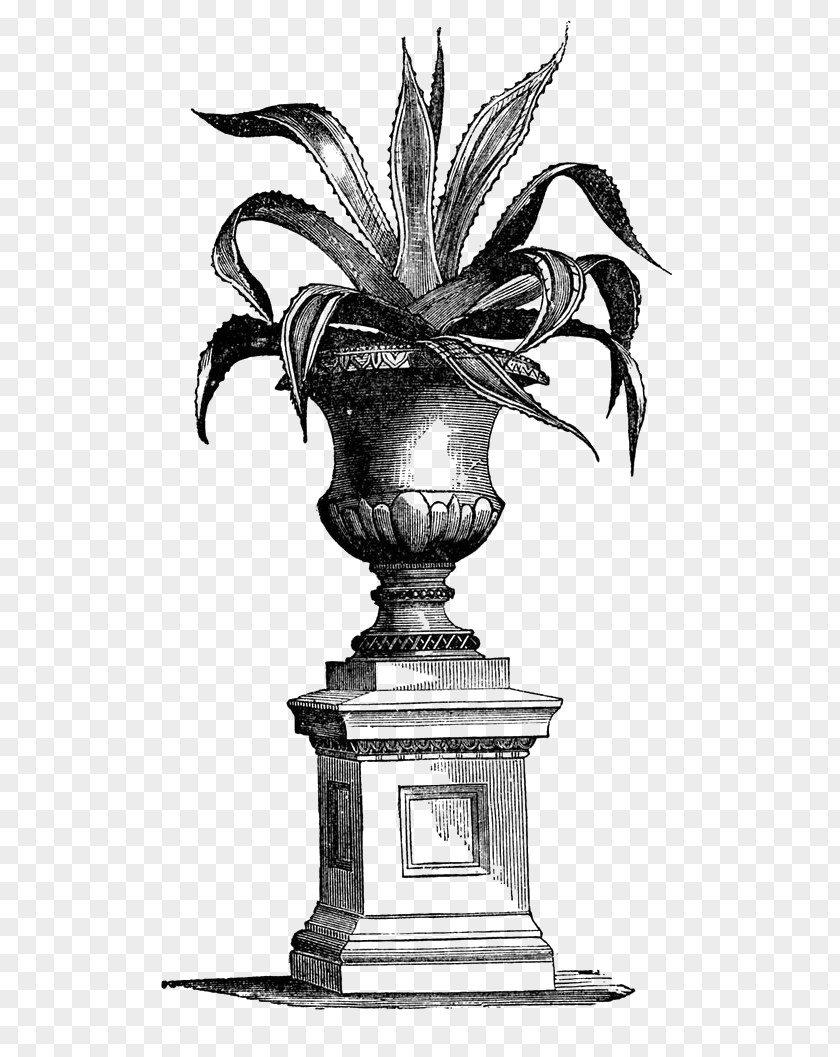 Pot Plant Victorian Era Urn French Formal Garden Houseplant PNG