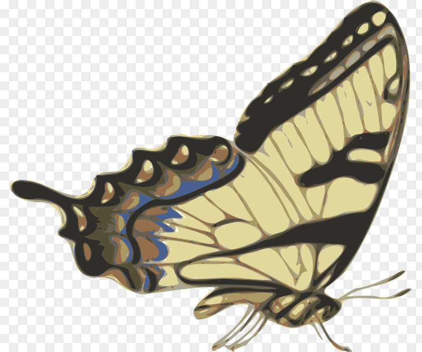 Utopia Cliparts Papillon Dog Butterfly Drawing Clip Art PNG