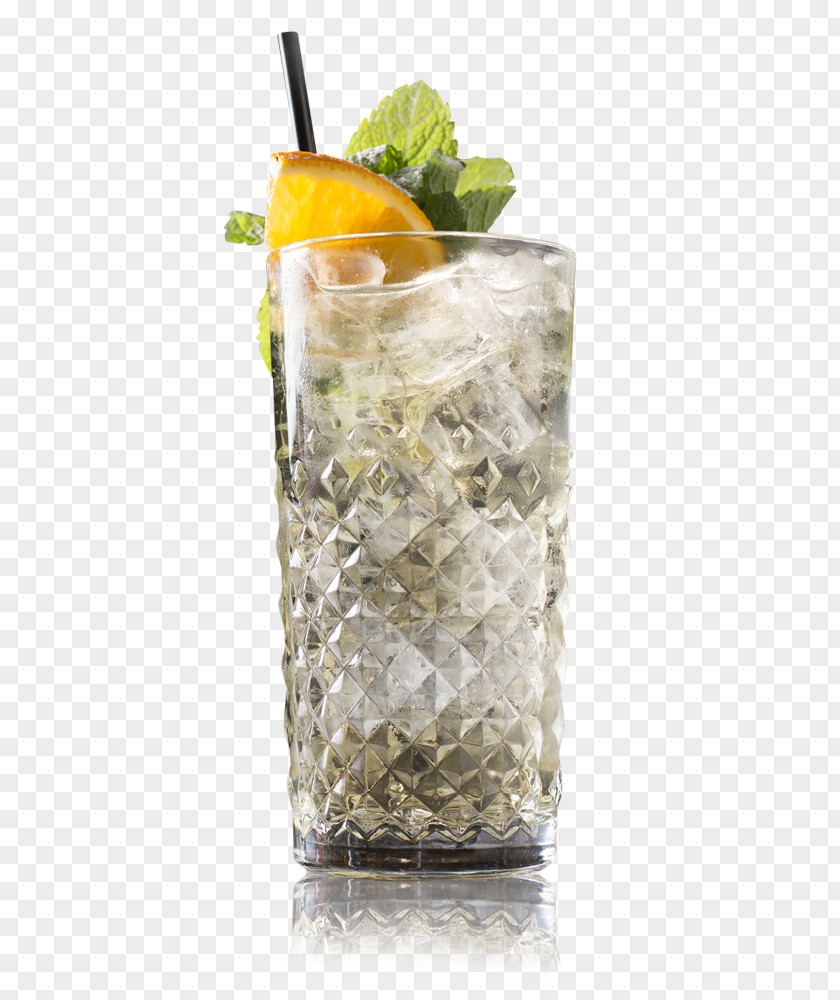 Cocktail Mint Julep Gin And Tonic Garnish Vodka Water PNG