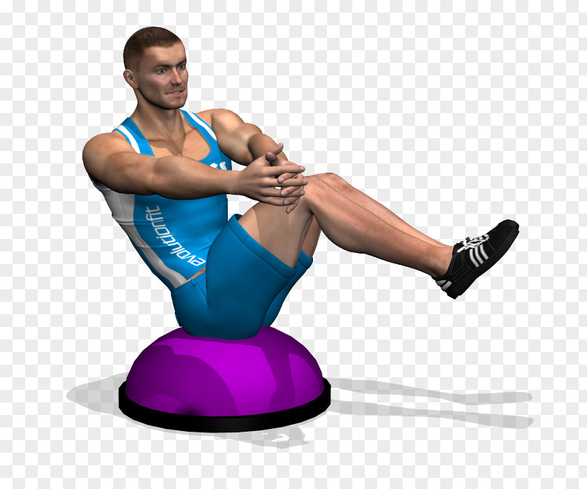 Dumbbell BOSU Russian Twist Exercise Crunch Rectus Abdominis Muscle PNG