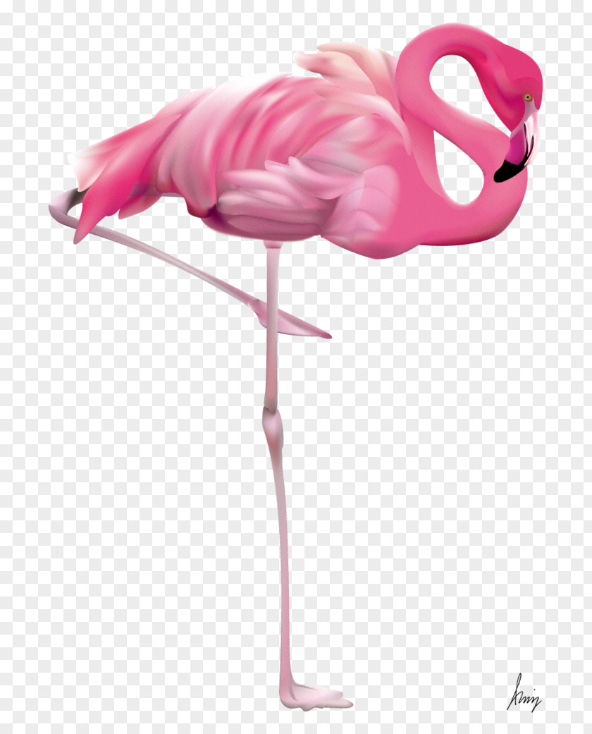 Flamingo Transparent Clip Art PNG