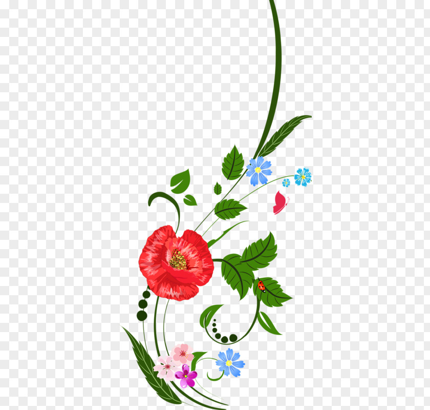 Flower Transparent Background Vector Graphics Image Design Download PNG