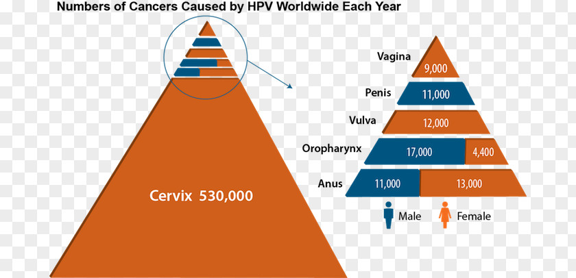 Genital Human Papillomavirus Infection HPV Vaccine Head And Neck Cancer PNG human papillomavirus infection vaccine and neck cancer, venereal disease clipart PNG