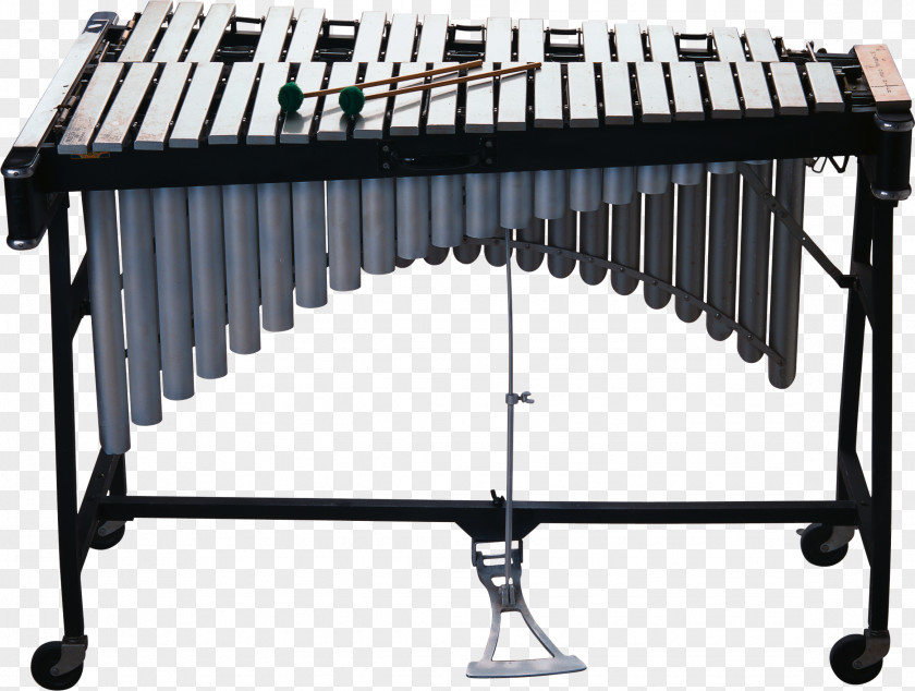Xylophone Vibraphone Metallophone Marimba Musical Instruments PNG