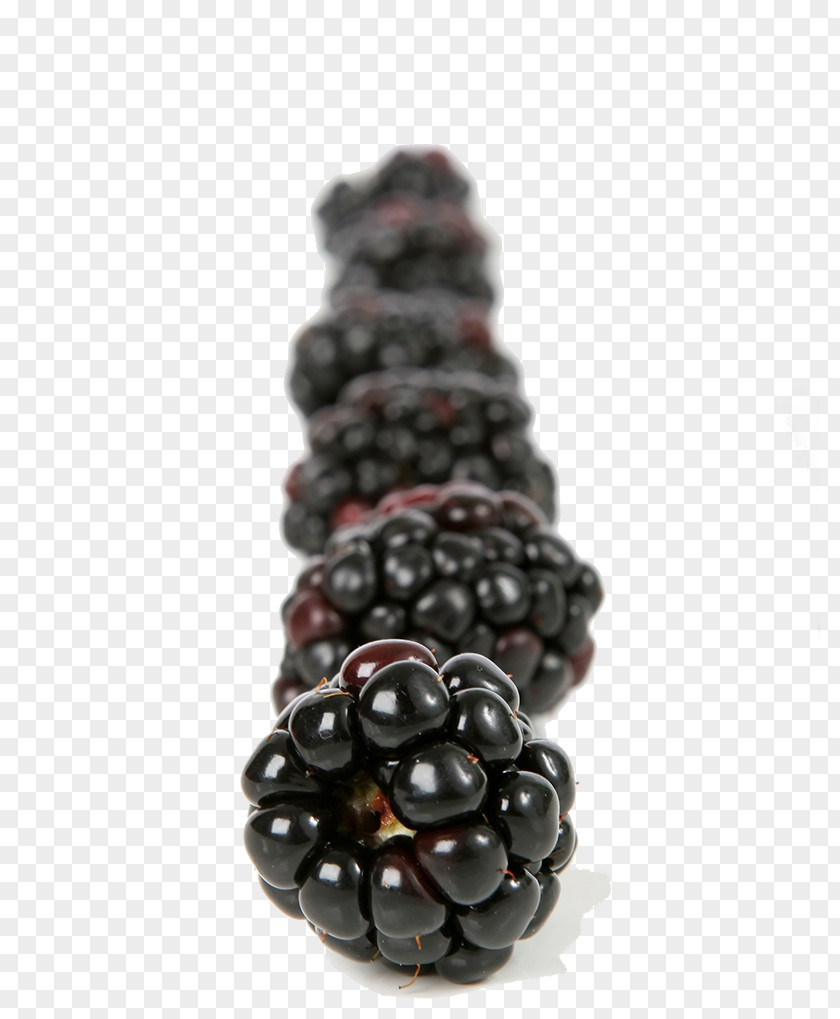 A Neat Row Of Blackberry Frutti Di Bosco Fruit Food PNG