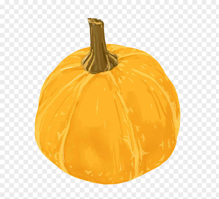 A Pumpkin Halloween Kabocha PNG