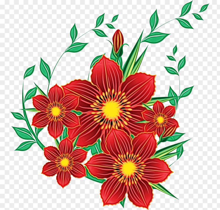 Herbaceous Plant Tagetes Bouquet Of Flowers Drawing PNG