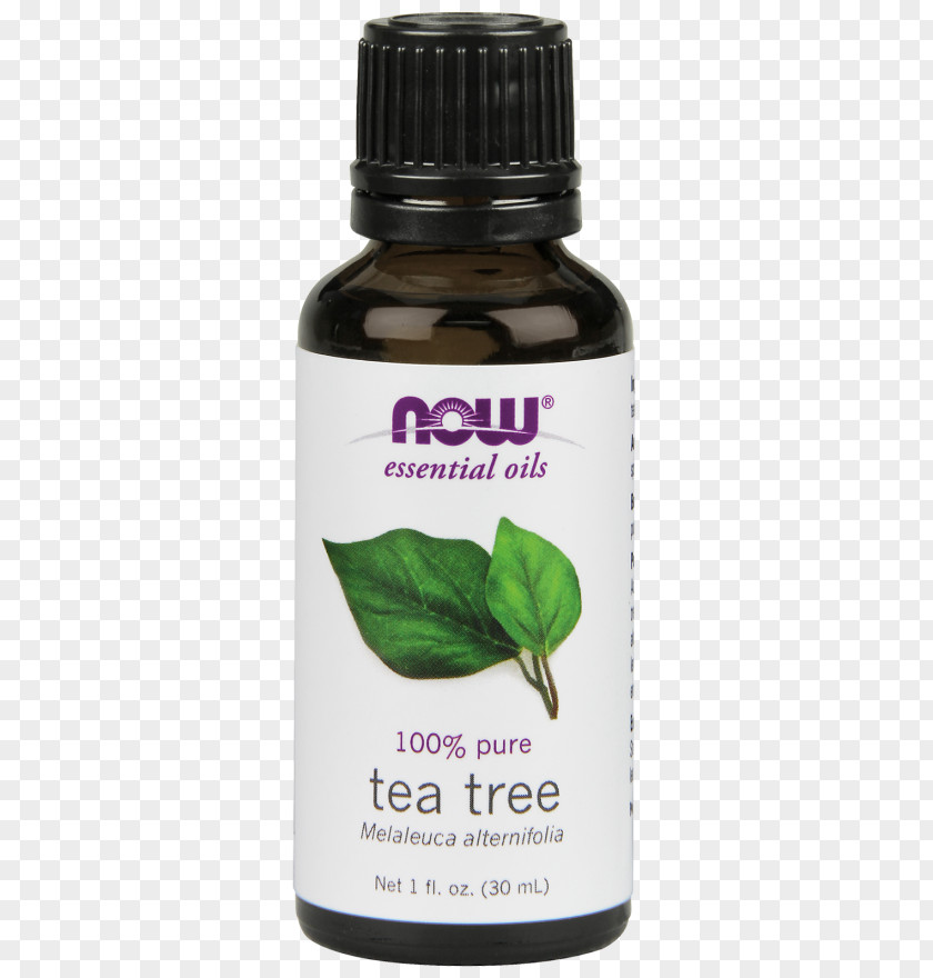 Oil Essential Tea Tree Narrow-leaved Paperbark NOW Foods PNG