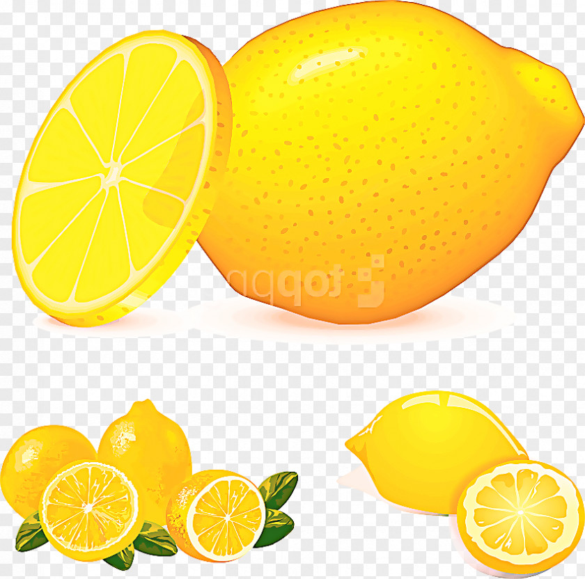 Persian Lime Sweet Lemon Citrus Lemon-lime Fruit PNG