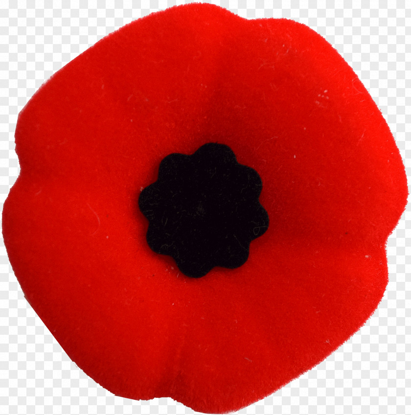 Poppy Flowering Plant Petal The Family Seed PNG