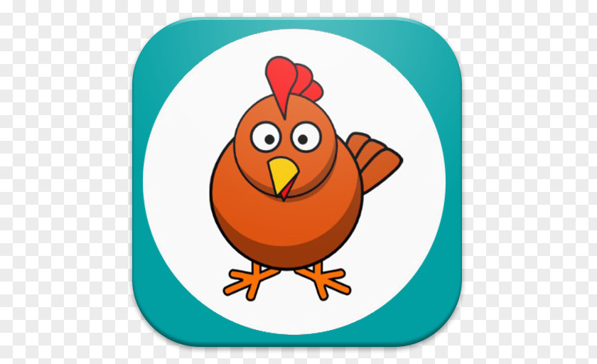 Chicken Vector Graphics Clip Art Cartoon Drawing PNG