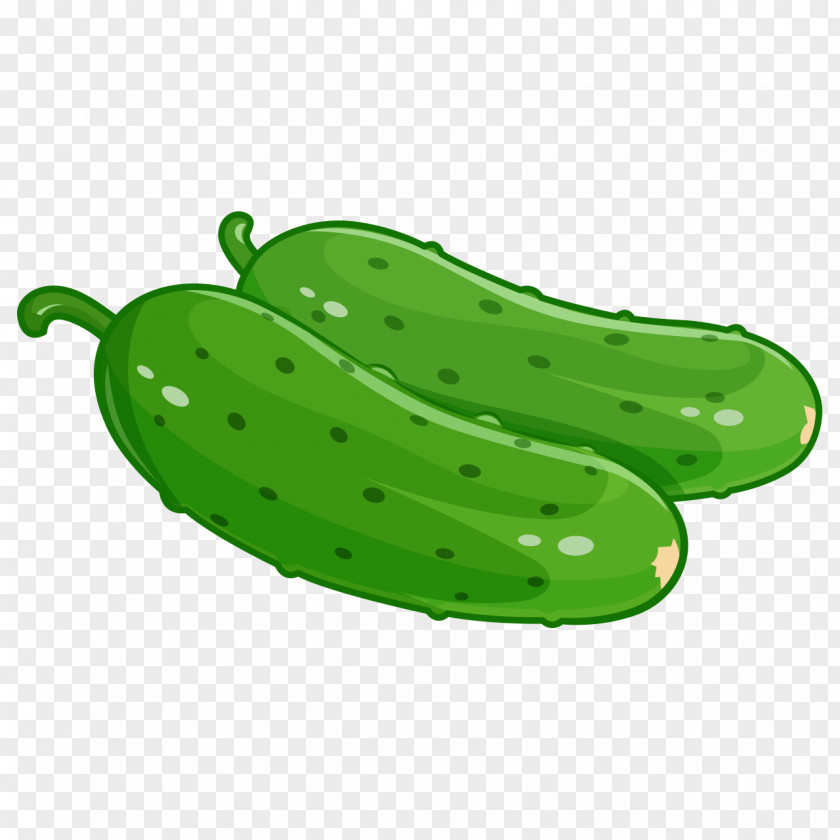 Cocumber Banner Pickled Cucumber Vegetable Zucchini Food PNG
