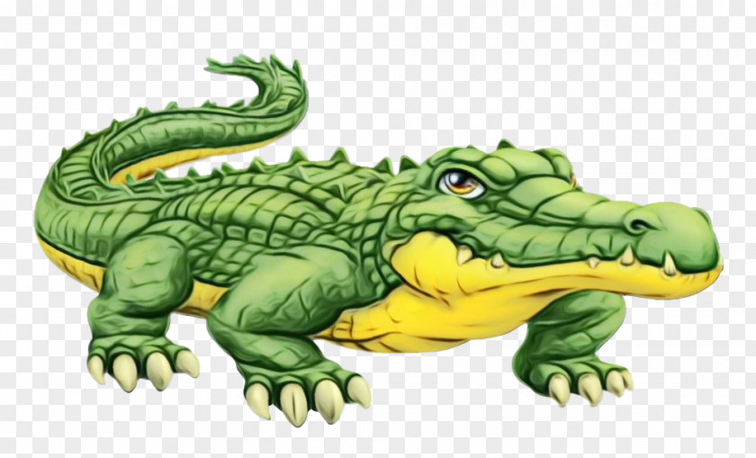 Crocodile Crocodilia Alligator Reptile Green PNG