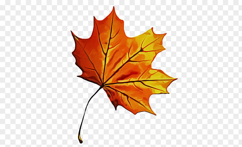 Orange Maple Leaf PNG