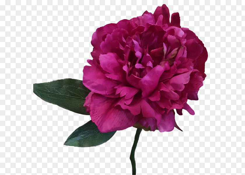 -painted Floral Material Peony Cut Flowers Artificial Flower Plant PNG