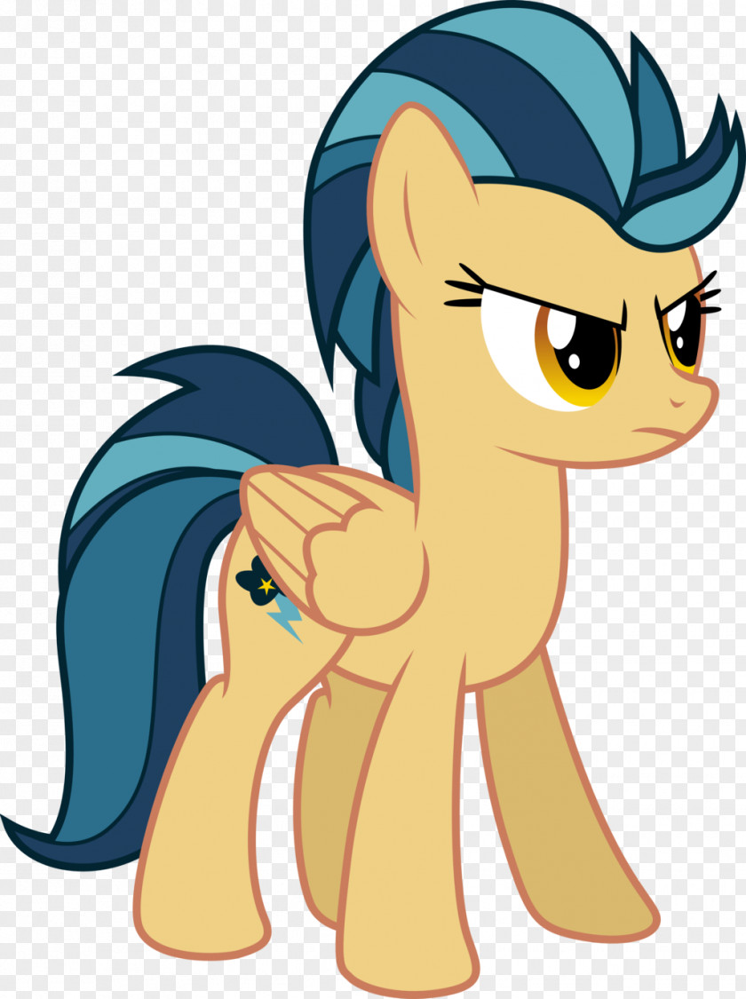 Rainbow Dash My Little Pony: Friendship Is Magic Fandom Lightning Dust PNG