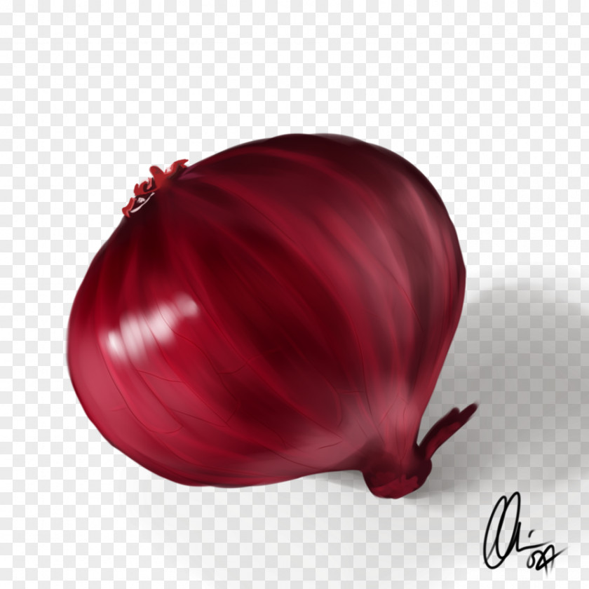 Red Onion Yellow Shallot Magenta PNG