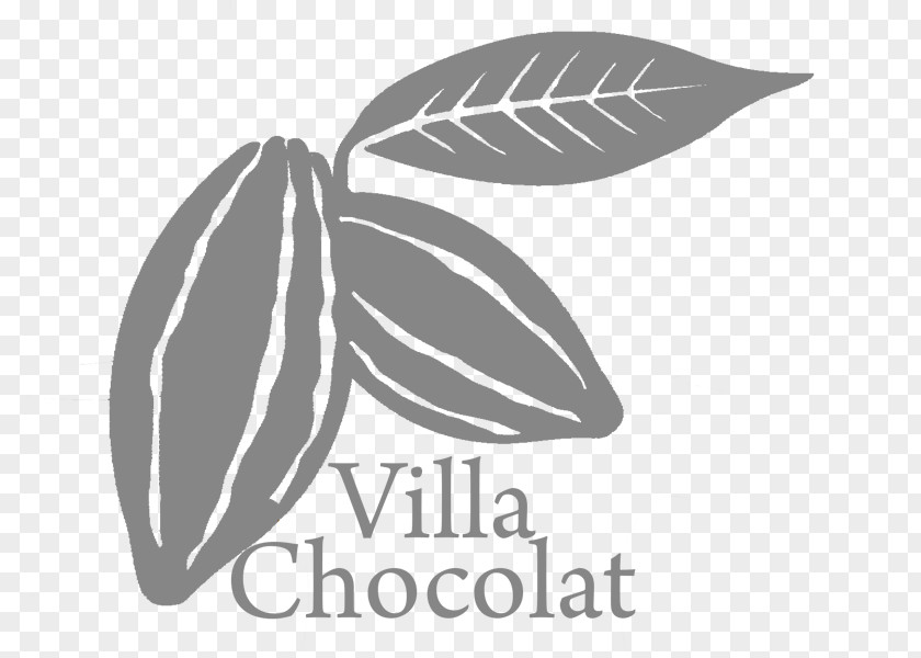 Vasanti Seminyak Bali Villa Chocolat Luxury Comfort Komodo National Park PNG