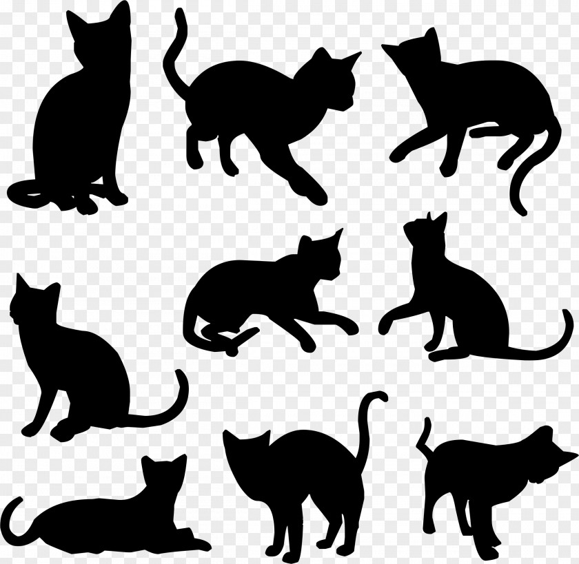 Cat Vector Black Kitten Felidae Silhouette PNG