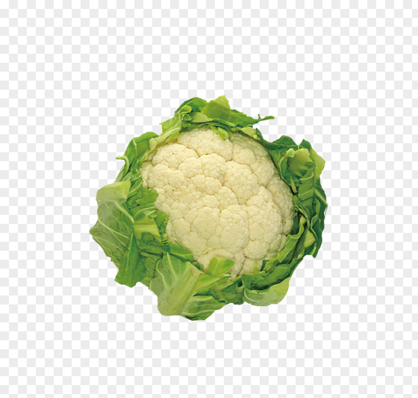 Cauliflower Cabbage Broccoli Vegetable Kale PNG