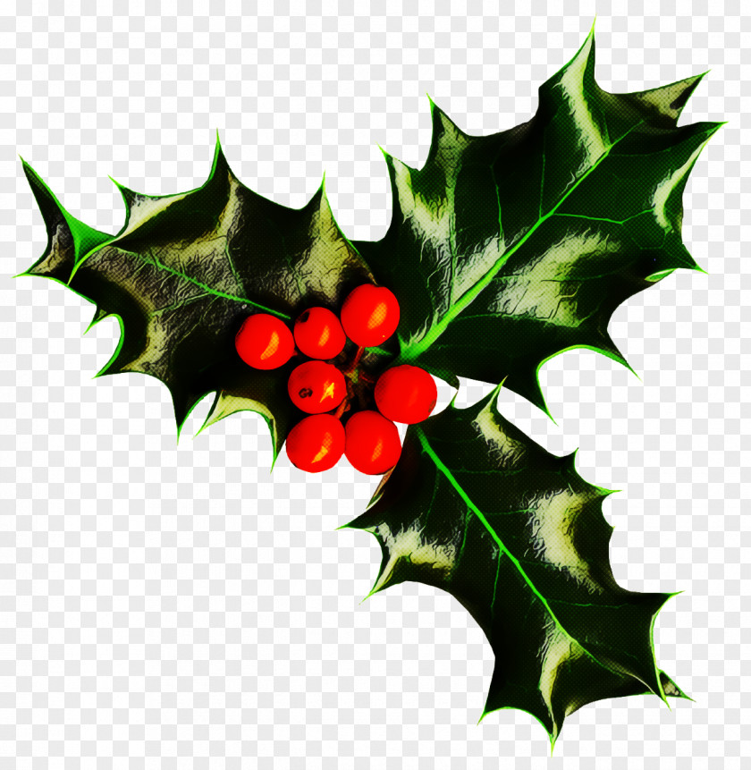 Holly Christmas PNG