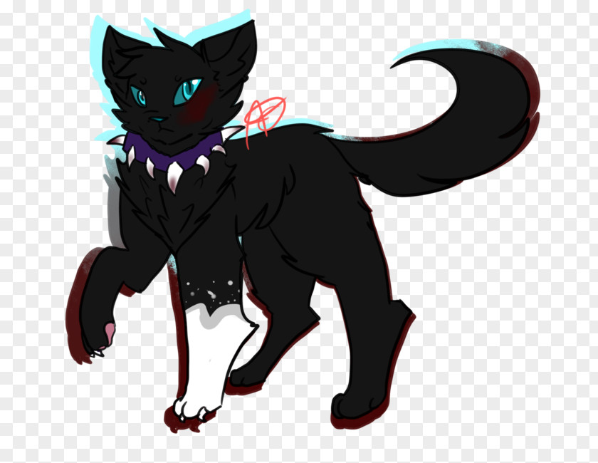 Kitten Black Cat The Rise Of Scourge Warriors PNG