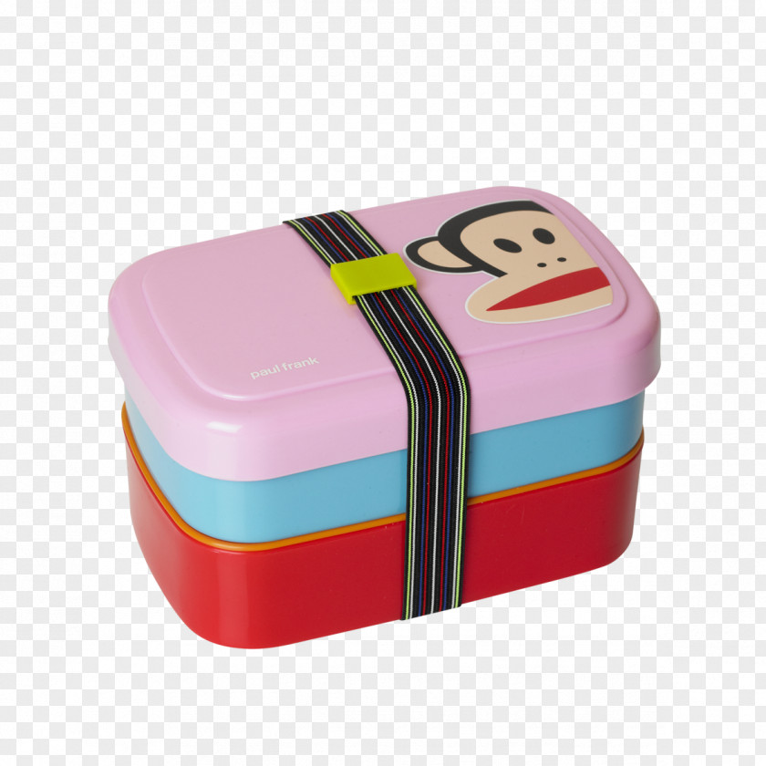 Lunchbox Picnic Leftovers Container PNG