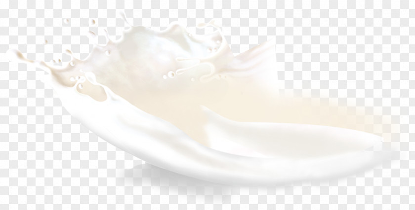 Milk White Petal PNG