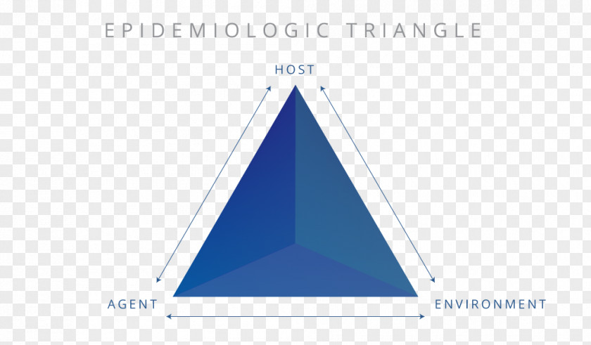 Triangle Brand PNG