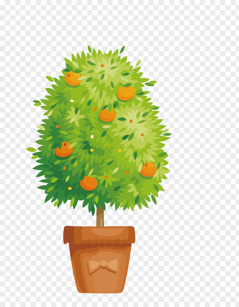 Vector Cartoon Green Persimmon Tree Garden Flowerpot Illustration PNG