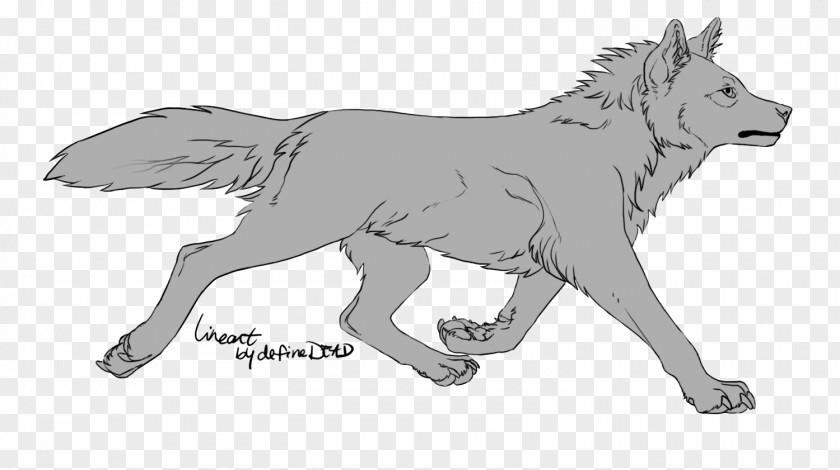 Big Bad Wolf Dog Puppy Line Art Drawing Canidae PNG
