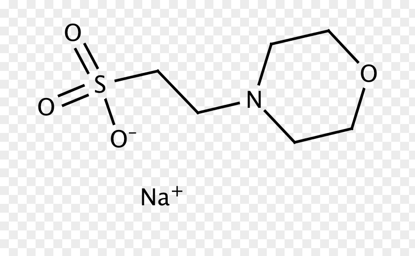 Chemical Compound 2-(dimethylamino)ethanesulfonic Acid /m/02csf PNG
