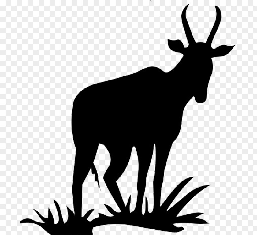 Dog Bone Silhouette Antelope Pronghorn Deer Clip Art PNG