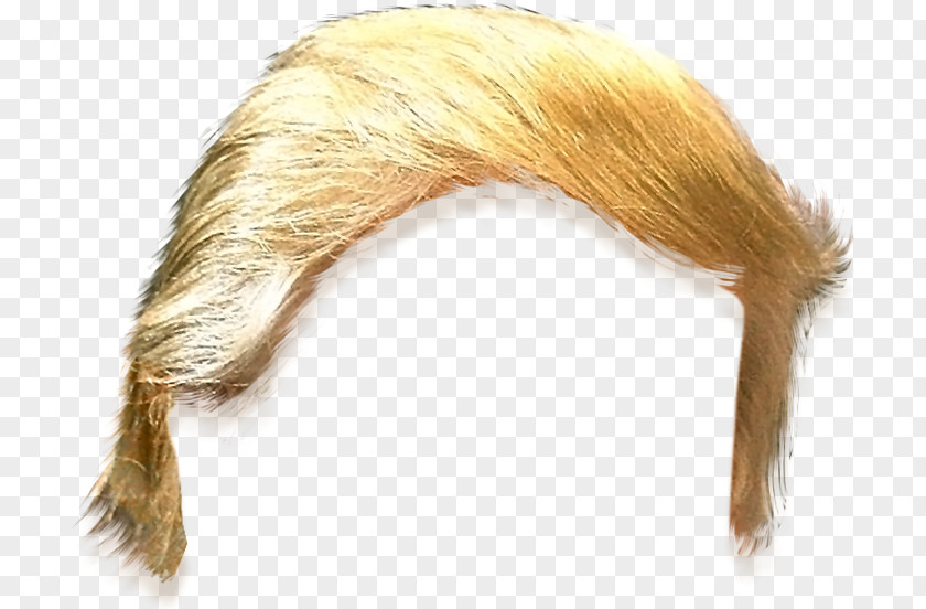 Hairstyle Template United States Trump Hair Clip Art PNG