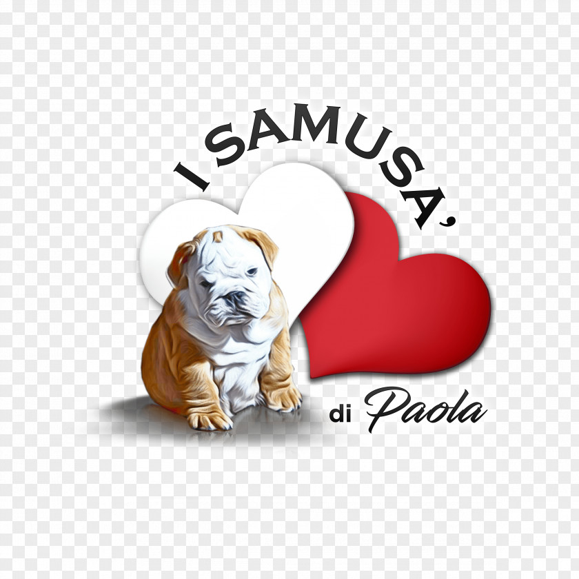 Puppy Bulldog Dog Breed I SAMUSA' DI PAOLA Border Collie PNG