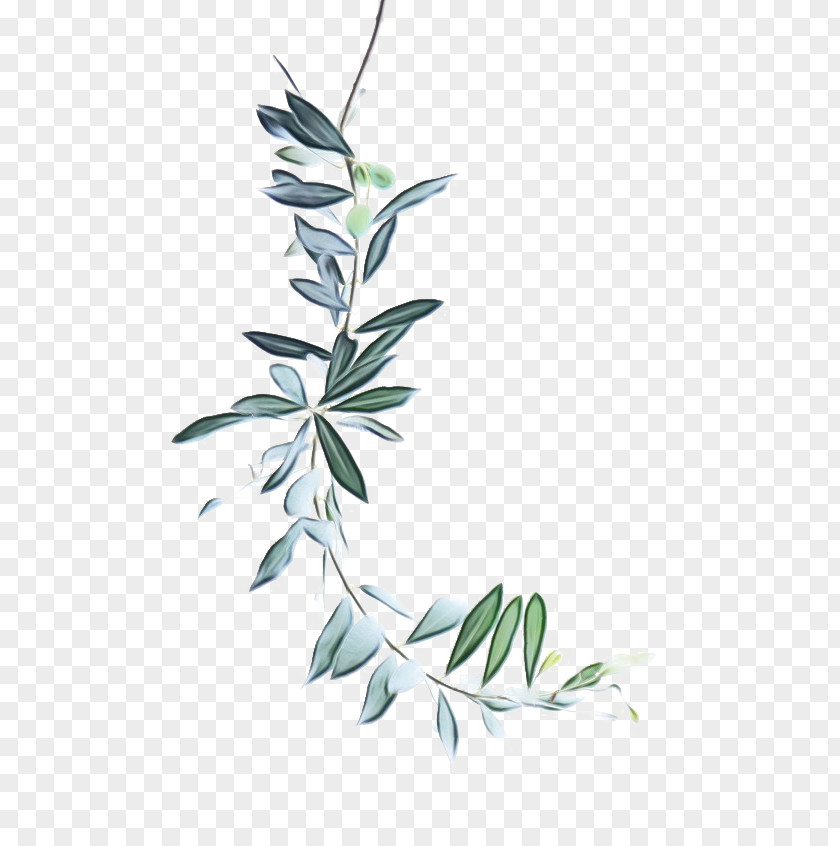 Subshrub Tree Twig Background PNG