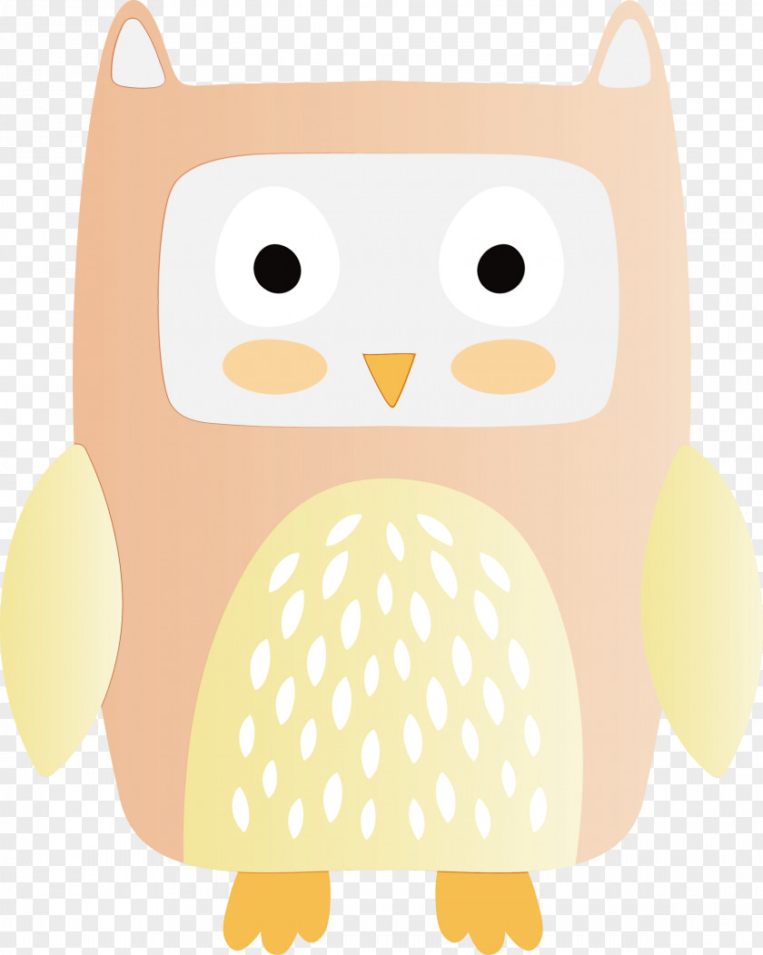 Beak Birds Cartoon Owl M Bird Of Prey PNG