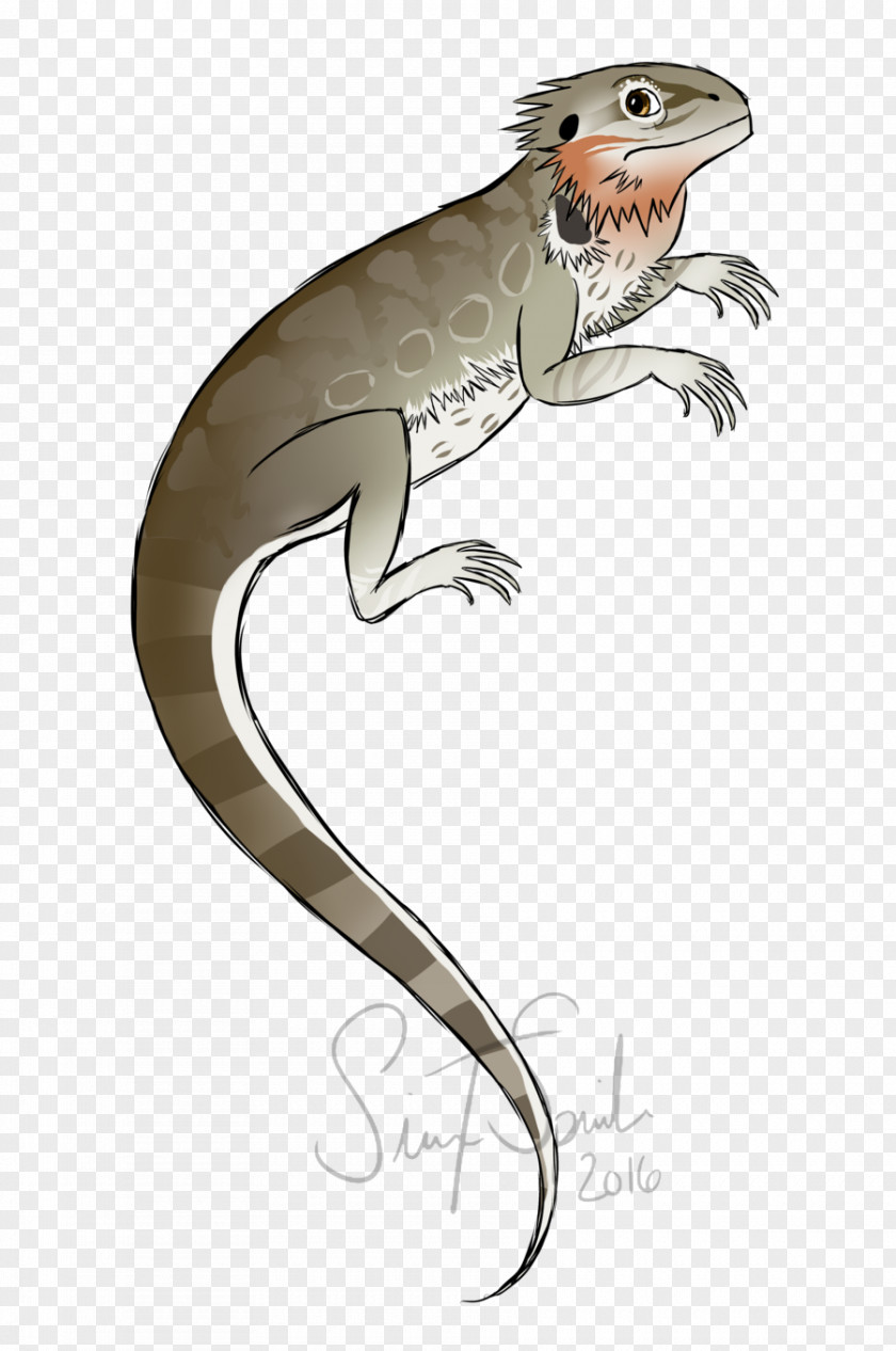 Lizard Reptile Amphibian Fauna Tail PNG