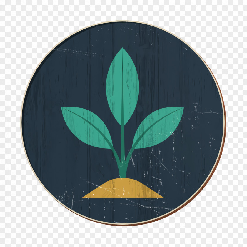 Sprout Icon Energy And Power Tree PNG