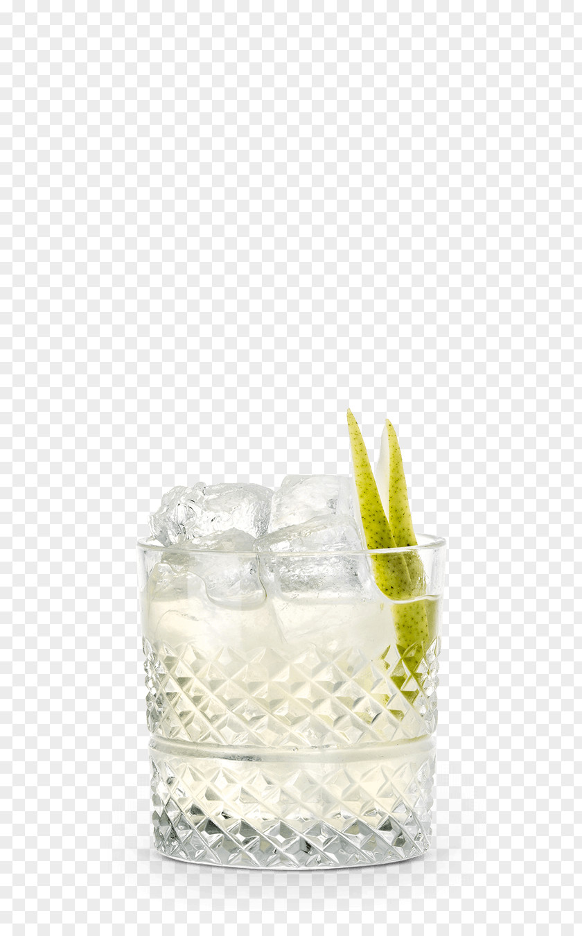 Vodka Tonic Gin And Water Old Fashioned PNG