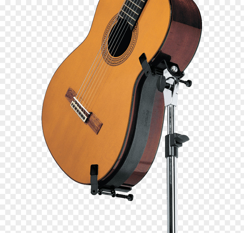Acoustic Guitar Bass Acoustic-electric Cuatro PNG