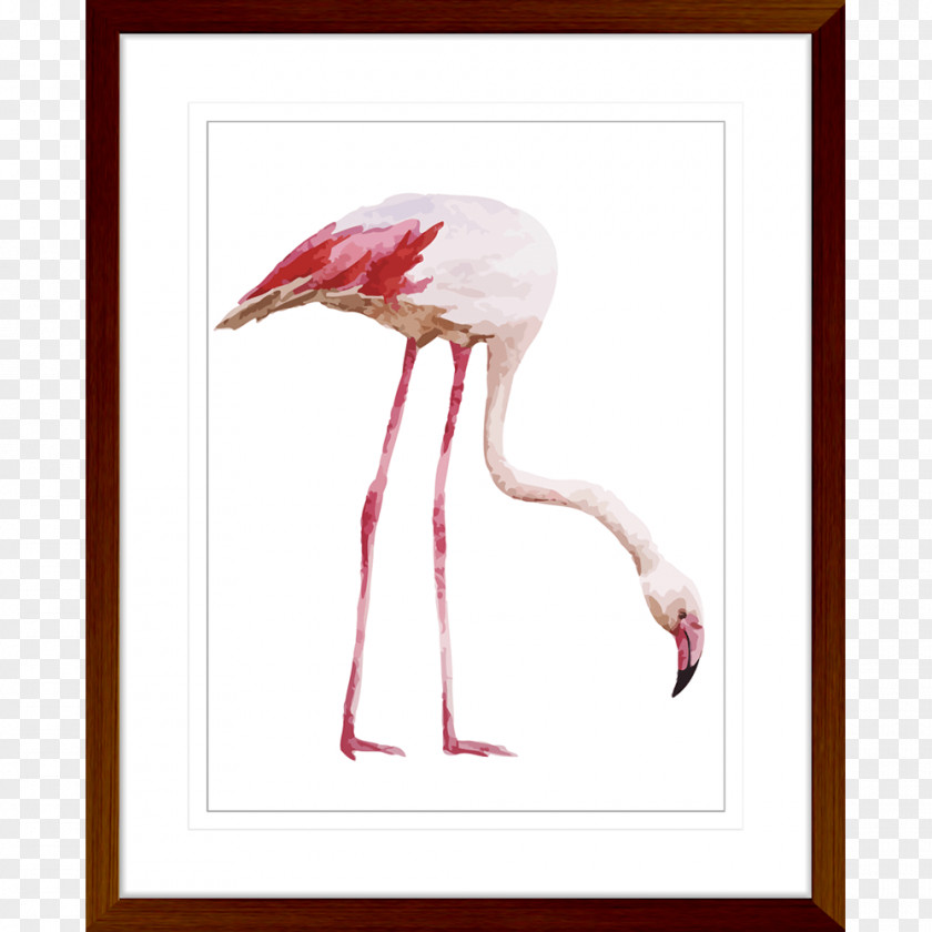 Bird Flamingo Royalty-free Drawing Vector Graphics PNG
