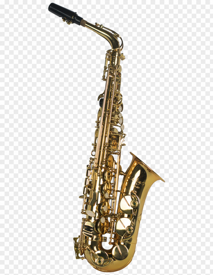 Dom Saxophone Musical Instruments Woodwind Instrument Brass Clarinet Family PNG