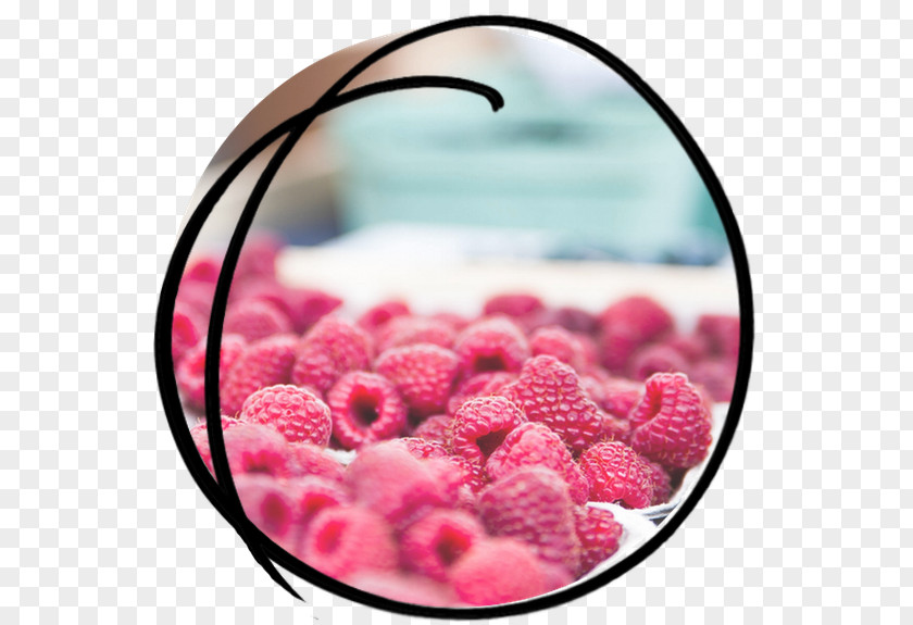 Food Styling Sorbet Raspberry Fruit PNG