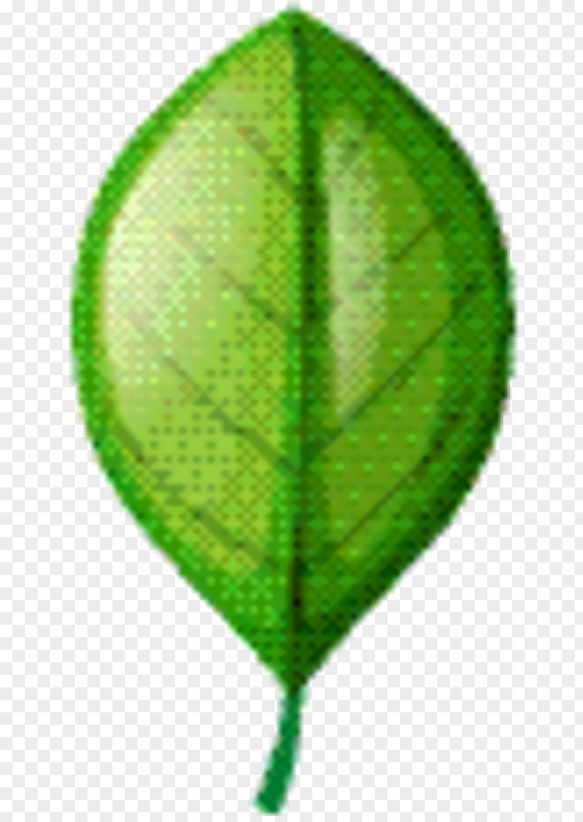 Plant Tree Green Leaf Background PNG