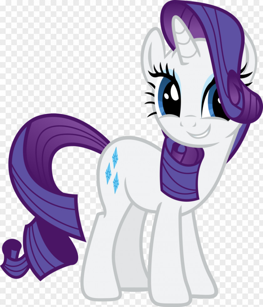 Rarity Pony Pinkie Pie Twilight Sparkle Rainbow Dash PNG