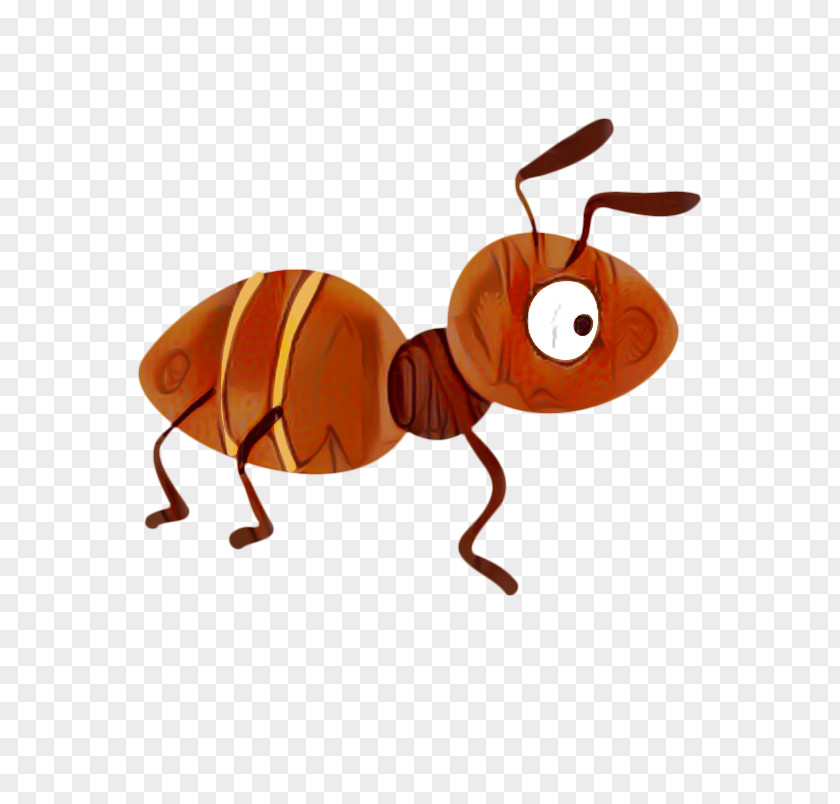 Weevil Termite Ant Cartoon PNG