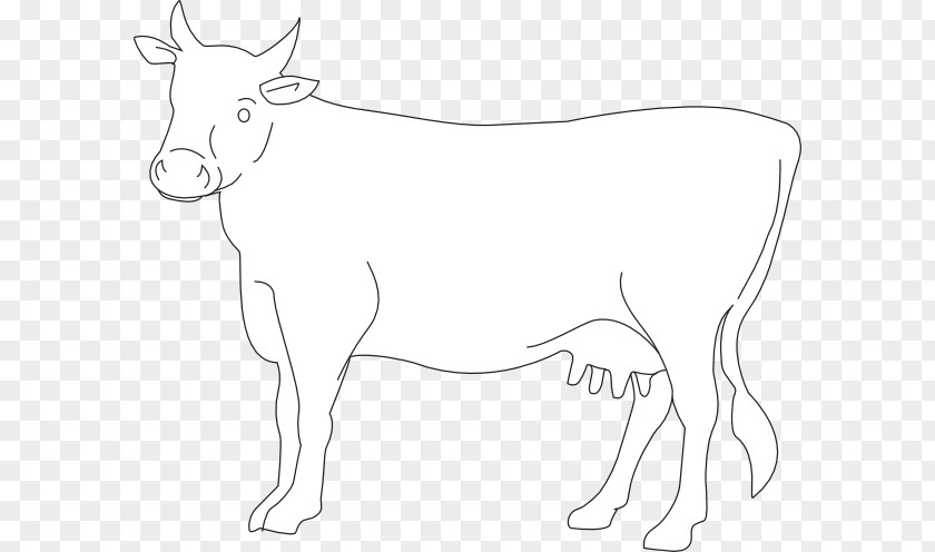 Cow Outline Dairy Cattle Clip Art Calf Jersey Ox PNG
