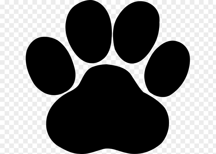 Dog Cat Paw PNG